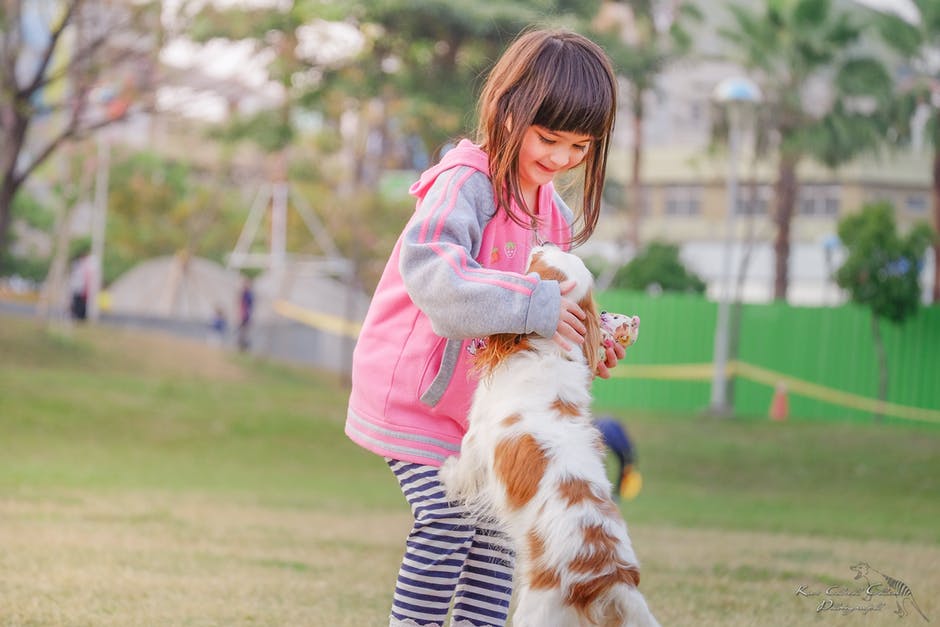 Razas de perro para niños