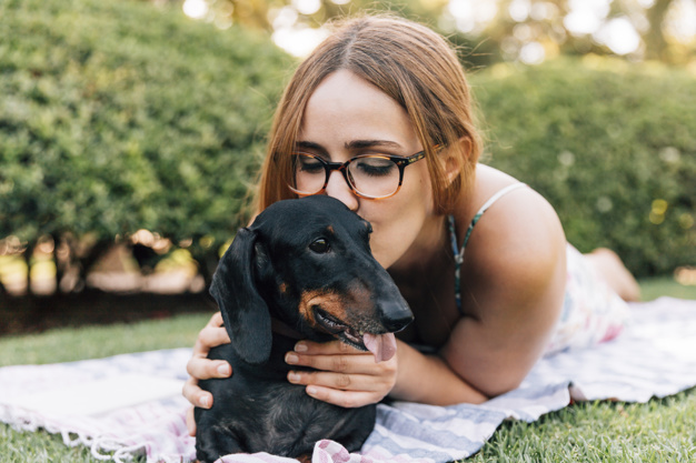 ¿Preocupación, ansiedad y estrés? Tu perrito puede ser la solución